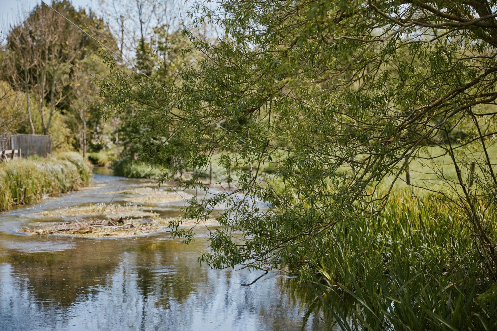 CarhamptonThe Bucks Head住宿加早餐旅馆 外观 照片